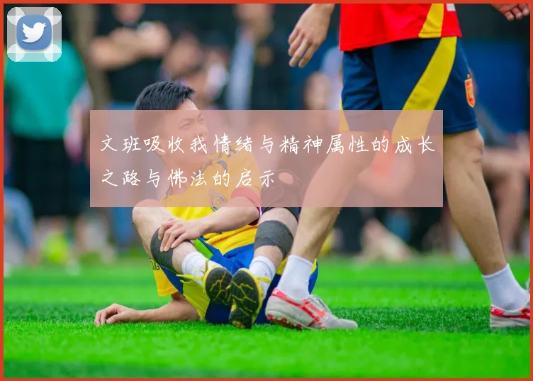 文班吸收我情绪与精神属性的成长之路与佛法的启示