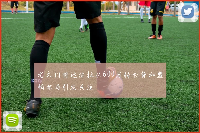 尤文门将达法拉以600万转会费加盟帕尔马引发关注