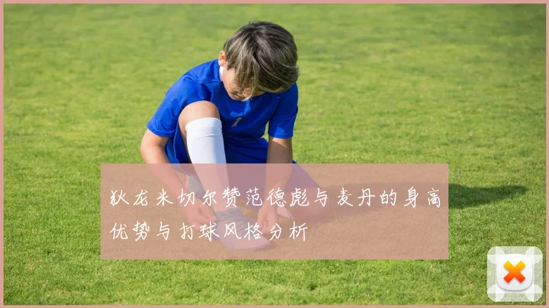 狄龙米切尔赞范德彪与麦丹的身高优势与打球风格分析